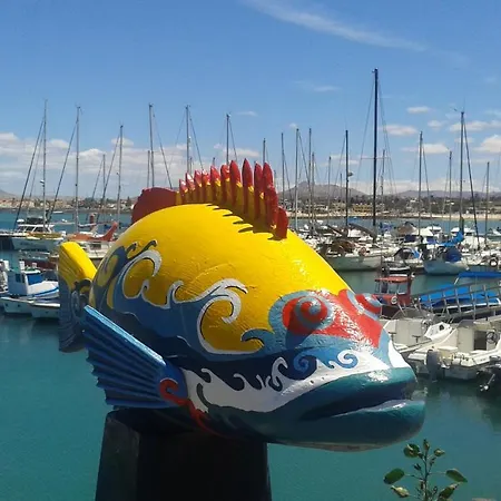 Lobos Island View Corralejo
